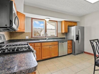 264 Overlook Blvd, Struthers, OH 44471 - photo 4