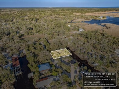 XX Ben Willis Rd, Crawfordville, FL 32327 - photo 7