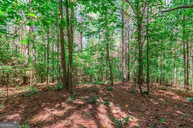 LOT 26 Fox Paw Leaf Ln, Ellijay, GA 30536 - photo 7