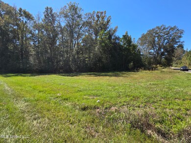 7 G Morgan Rd, Laurel, MS 39443 - photo 4