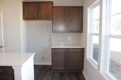 4111 W Highway 19 unit Lot 4, Conway, SC 29526 - photo 4