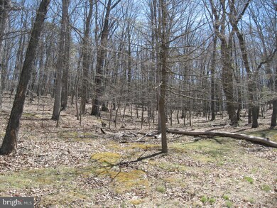 9 Deerwood Ln, Berkeley Springs, WV 25411 - photo 4