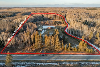 41200 State Highway 286, Bigfork, MN 56628 - photo 4