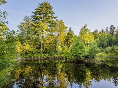 Pond on 44 Stone Drive
