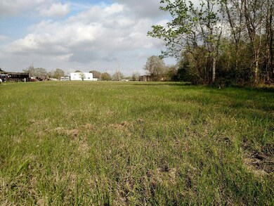 0 County Road 158 Mustang Rd, Alvin, TX 77511 - photo 2