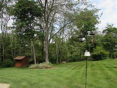 Yard/Garden.