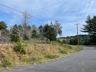 35 Debbie Ln, Whitethorn, CA 95589 - photo 6