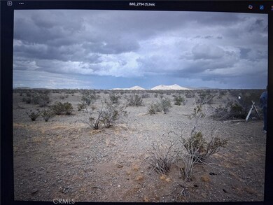 0 Delmonico Rd unit IG25230745, Oro Grande, CA 92368 - photo 4