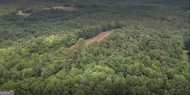 4023 Jersey Covington Rd, Covington, GA 30014 - photo 5