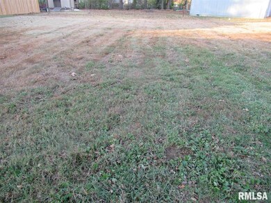 1103 Brook Ln, Harrisburg, IL 62946 - photo 2