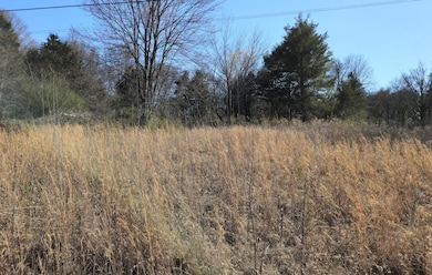 4836 Lillie Ln, Ooltewah, TN 37363 - photo 5