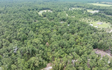 TBD 208th St, O Brien, FL 32071 - photo 6