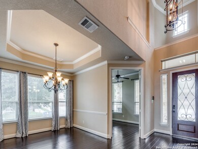 25902 Natal Plum, San Antonio, TX 78261 - photo 7