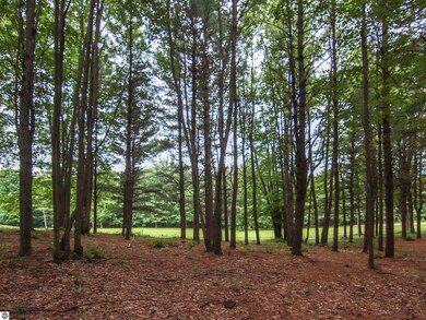 0000-Unit 39 Trailside Dr, Weldon Township, MI 49683 - photo 4