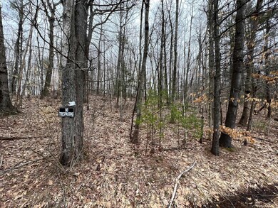 Map 36 Lot 72 A Varney Rd, Barnstead, NH 03225 - photo 3