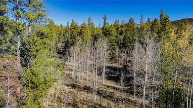 235 Willow Ln, Fairplay, CO 80440 - photo 2