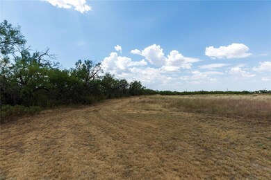 466 Fm 1750, Abilene, TX 79602 - photo 5