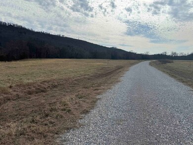 13 Allure Ln, Mountain View, AR 72560 - photo 6