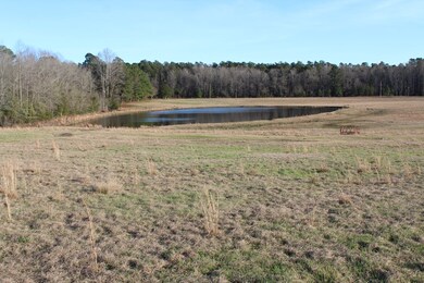 0 Highway 221 unit 451326, McDuffie, GA 30808 - photo 6