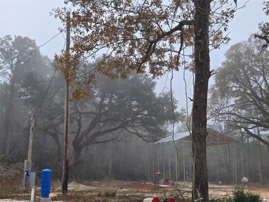 1017 County Road 3325, Colmesneil, TX 75938 - photo 7