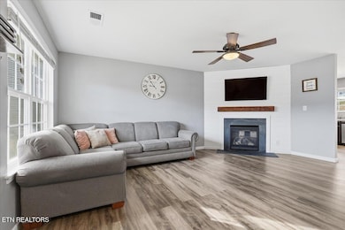 7151 Forest Willow Ln, Corryton, TN 37721 - photo 4