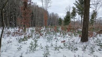 V/L 118A E Townline Rd, Free Soil, MI 49411 - photo 3