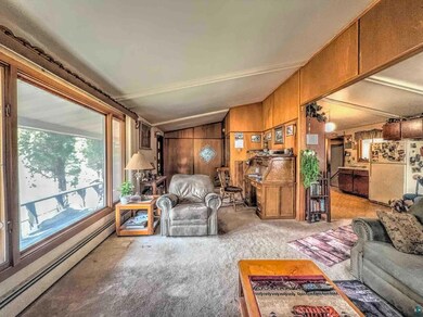 Living area featuring wood walls, vaulted ceiling, carpet flooring, and a baseboard radiator