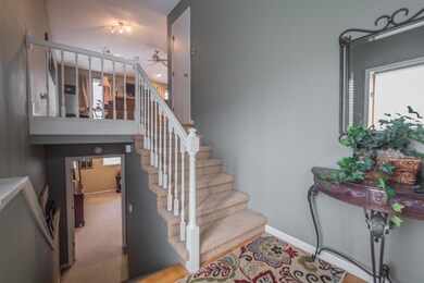 2913 Bluegrass Ct Columbia MO-print-002-