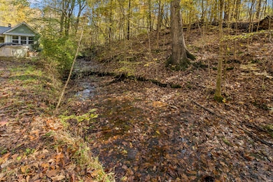 7489 Shoals Branch Rd, Primm Springs, TN 38476 - photo 3