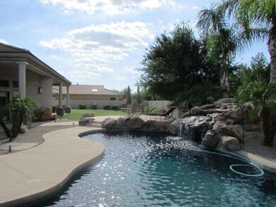 Spectacular Backyard Oasis!!