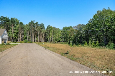 18154 Newgate Ln unit Lot 14, Spring Lake, MI 49456 - photo 5