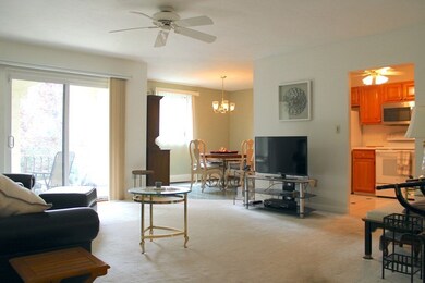 220 Fellsview Terrace unit 224, Stoneham, MA 02180 - photo 4