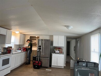 111 Lelon Ln, Springtown, TX 76082 - photo 4