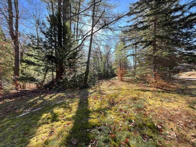 2871 Eaton Rd unit 24, Eaton Center, NH 03832 - photo 5