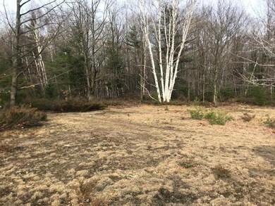 0 Sloptown Rd unit 201812505, Beaver Island, MI 49782 - photo 6