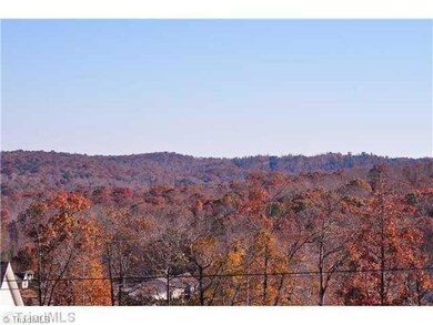 2561 Peppertree Ridge Rd, Randleman, NC 27317 - photo 3