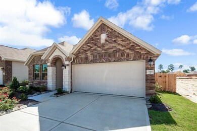 25410 Fossa Dr, Tomball, TX 77375 - photo 3