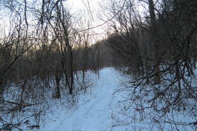 unlisted-address, Adams, MA 01220 - photo 6