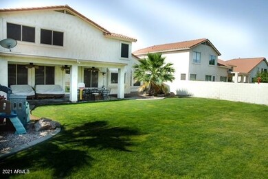 Backyard 2