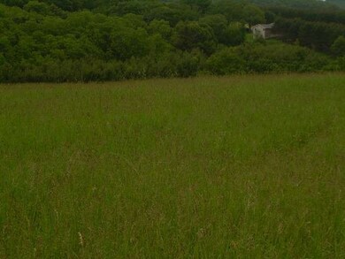 30151 Ivanhoe Ave, Tomah, WI 54660 - photo 4