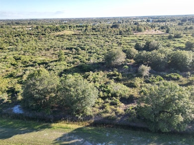 16536 NW 268th St, Okeechobee, FL 34972 - photo 3