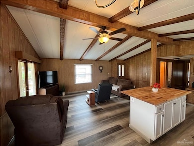 913 Palm Dr, Alamo, TX 78516 - photo 6