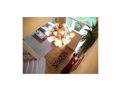 Magnificent Chandelier