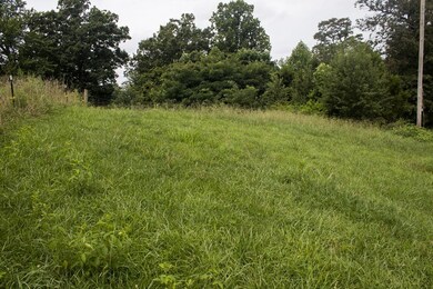 2360 Highway 92, Rutledge, TN 37861 - photo 6