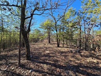 2 Tbd Summerfield Oklahoma, Summerfield, OK 74966 - photo 3