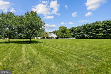 8875 Orchard Dr, Chestertown, MD 21620 - photo 6