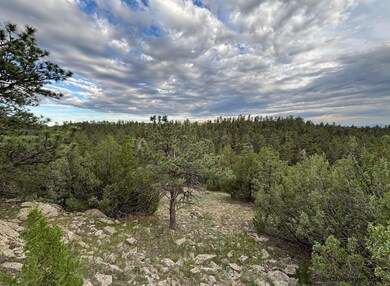 Por. Section 17 Glendo Park Rd unit 3, Glendo, WY 82213 - photo 7