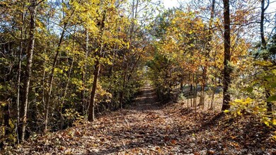 TBD Goldie Bend Rd, Camdenton, MO 65020 - photo 3