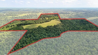 882 Bryant Rd, Chestnutridge, MO 65630 - photo 3