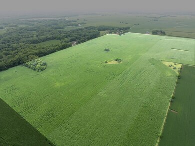 15570 2750 St E, Princeton, IL 61356 - photo 7